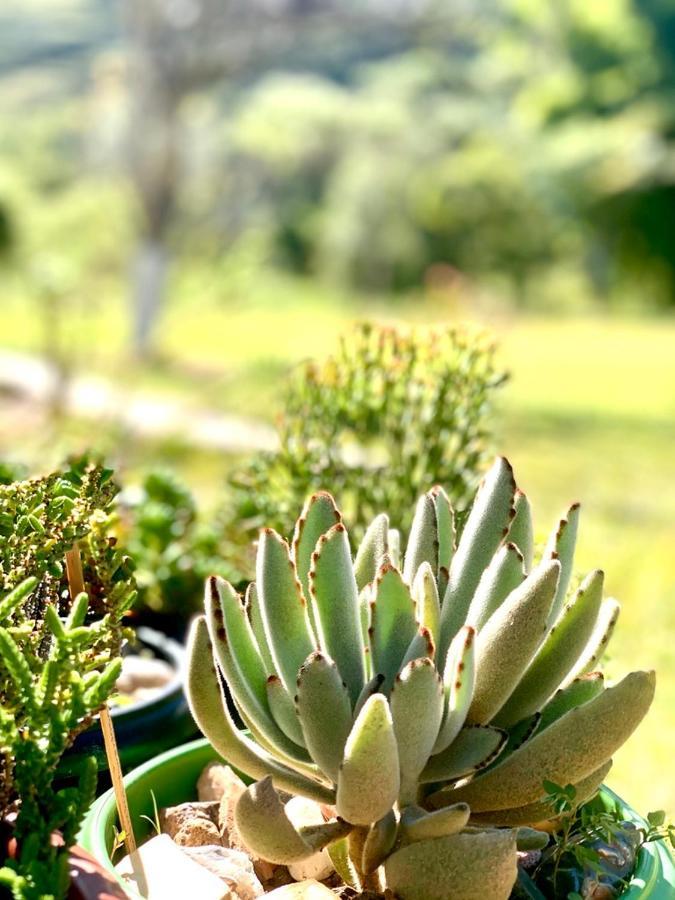 Recanto Roca Grande Cunha Luaran gambar